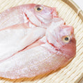 【若狭の灰干し】真鯛