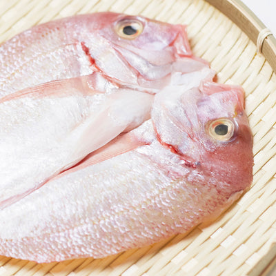 【若狭の灰干し】真鯛